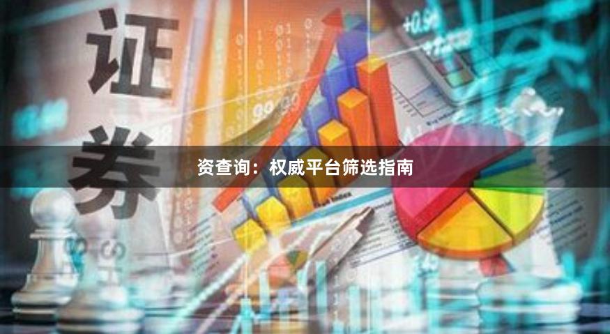 资查询：权威平台筛选指南