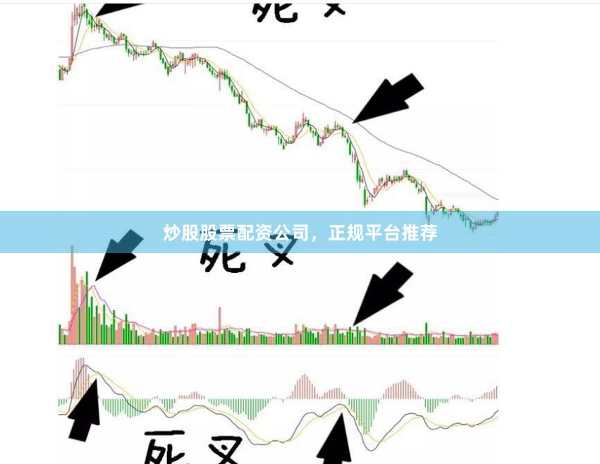 炒股股票配资公司，正规平台推荐