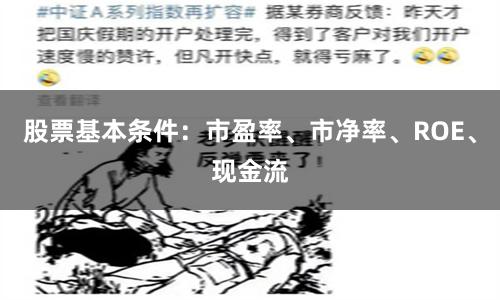 股票基本条件：市盈率、市净率、ROE、现金流