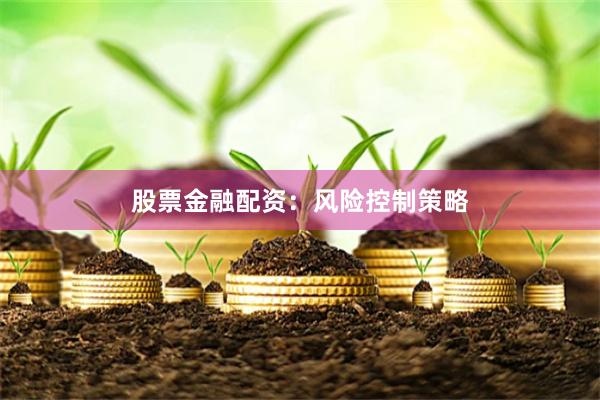 股票金融配资：风险控制策略